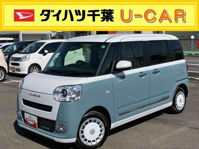 ムーヴキャンバス  ストライプス G