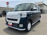 ムーヴキャンバス  ストライプス G