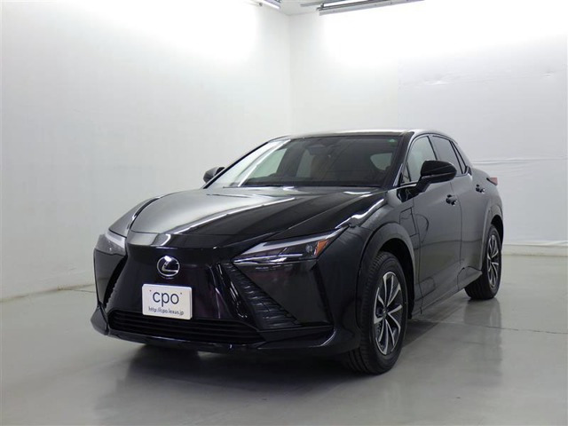 RZ 300e バージョンL 
