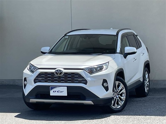 RAV4  2.0 G Zパッケージ 4WD