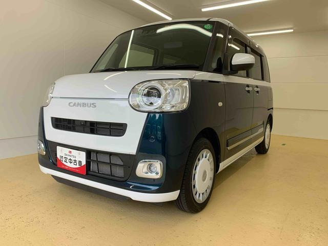 ムーヴキャンバス  ストライプス G
