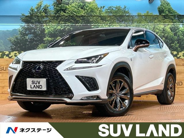 NX 300h Fスポーツ 