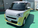 ムーヴキャンバス  ストライプス G