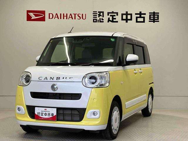 ムーヴキャンバス  ストライプス G