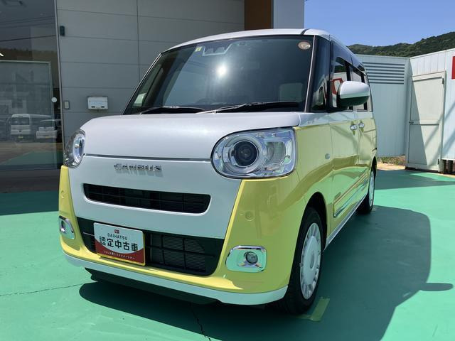 ムーヴキャンバス  ストライプス G