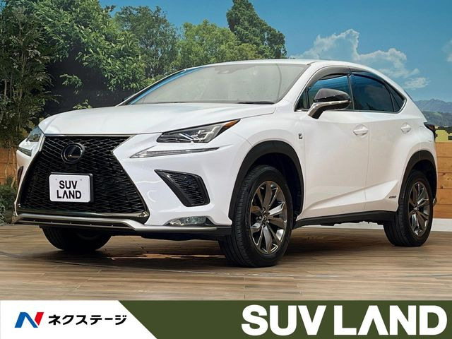 NX 300h Fスポーツ 