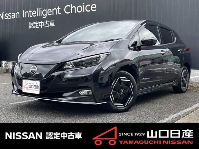 リーフ e+ X 