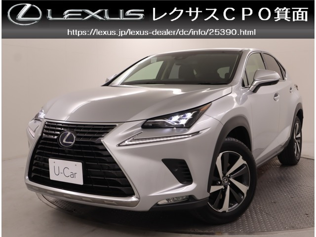 NX 300h Iパッケージ 