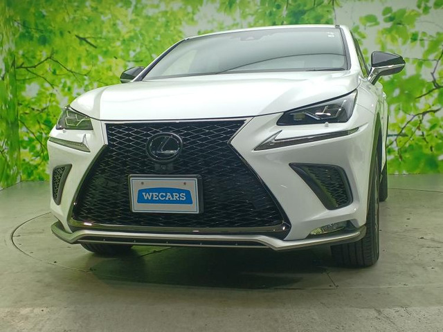 NX 300 Fスポーツ 4WD 