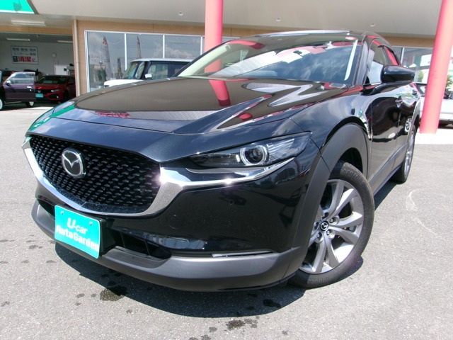 CX-30 2.0 20S プロアクティブ 