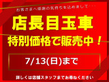 デリカミニ G 4WD デモアップ