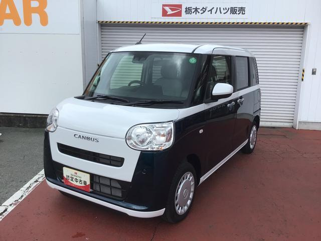 ムーヴキャンバス  ストライプス X