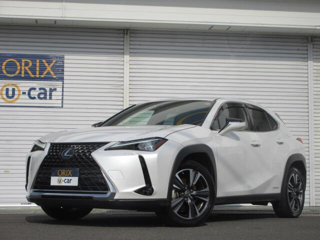 UX 250h バージョンL 4WD ナビ ETC Bカメラ 衝突回避軽減