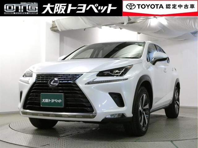 NX 300h Iパッケージ 