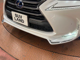 NX 300h Iパッケージ 