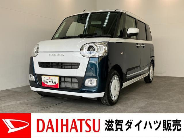 ムーヴキャンバス  ストライプス G