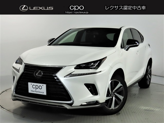 NX 300 スパイス&シック