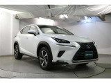 NX 300h Iパッケージ 
