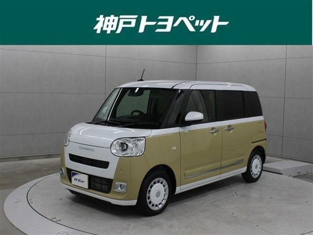 ムーヴキャンバス  ストライプス G
