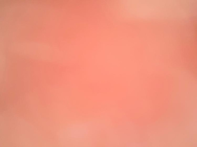 ヴェゼル 1.5 e:HEV Z 