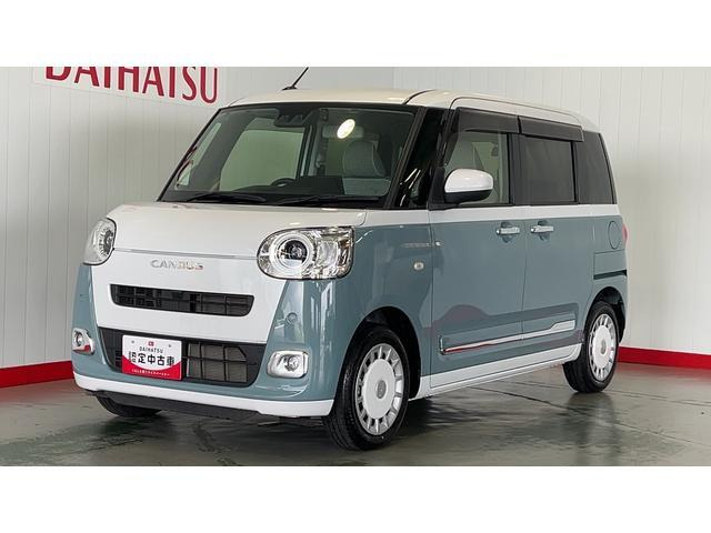 ムーヴキャンバス  ストライプス G