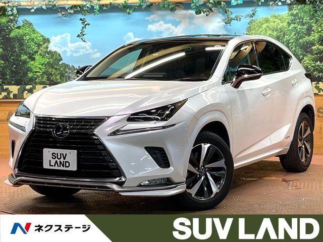 NX 300h スパイス&シック 