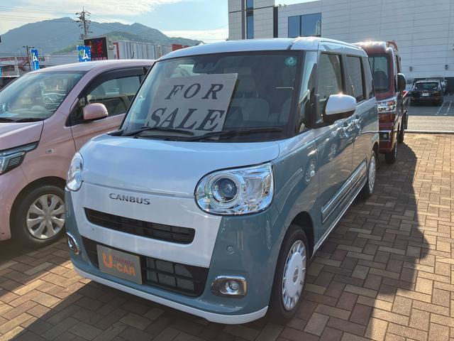 ムーヴキャンバス  ストライプス G