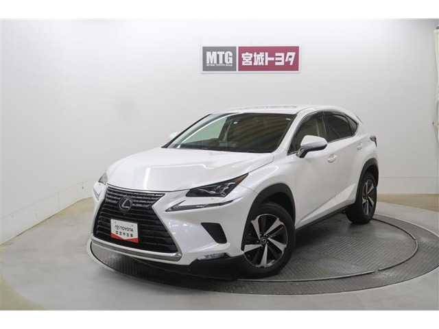 NX 300 Iパッケージ 