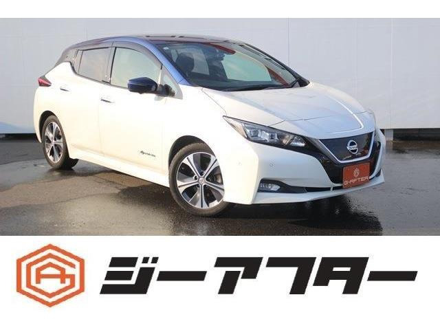 リーフ G プロパイロット純正ナビTV360°カメラLED