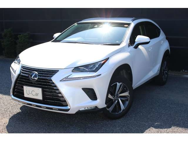 NX 300h Iパッケージ 4WD 