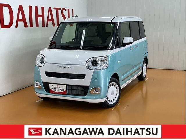 ムーヴキャンバス  ストライプス G