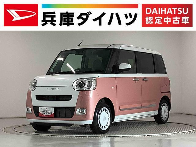 ムーヴキャンバス  ストライプス G