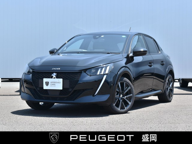 e-208 GT 