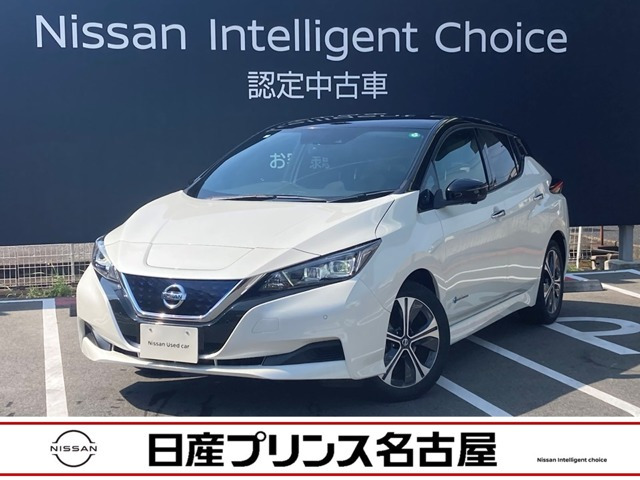 リーフ  X Vセレクション