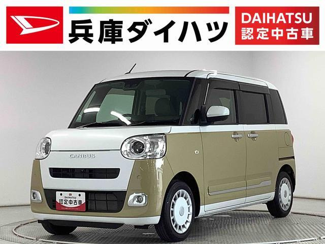 ムーヴキャンバス  ストライプス G