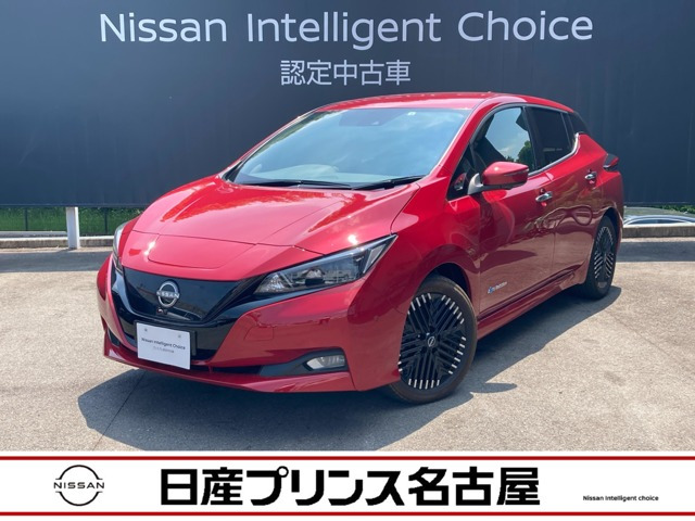 リーフ G 