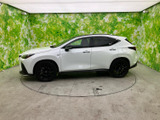 NX 350h Fスポーツ 