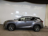 NX 300h Fスポーツ 