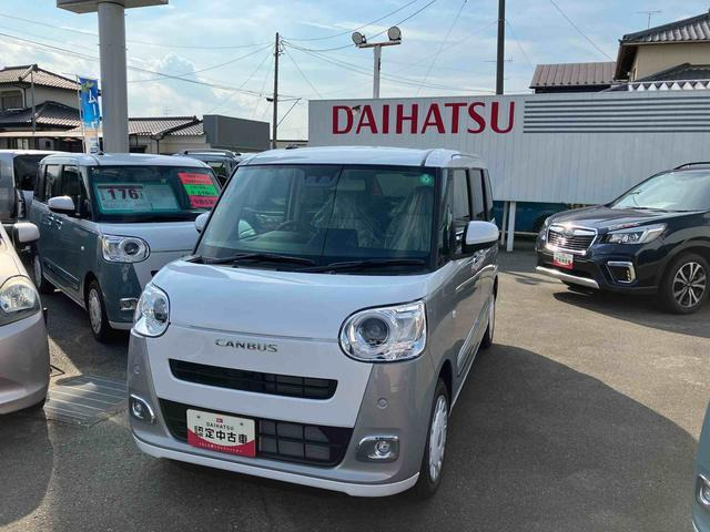 ムーヴキャンバス  ストライプス G