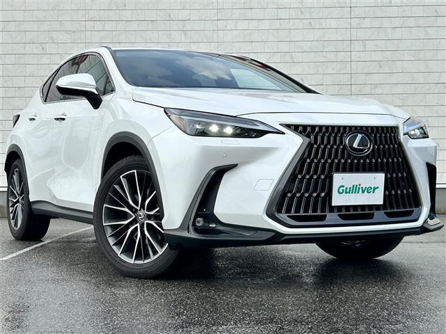 NX 250 本革シート 修復歴無し