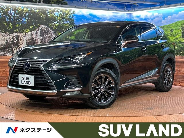 NX 300h Iパッケージ 