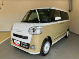 ムーヴキャンバス  ストライプス G