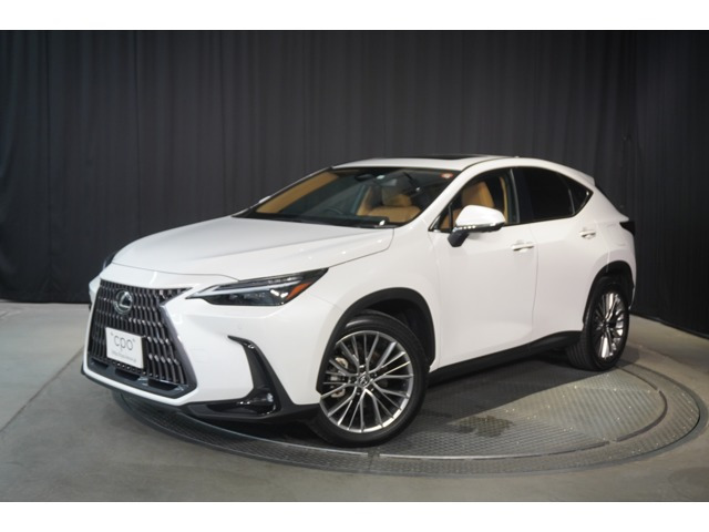 NX 250 バージョンL NX 250 バージョンL