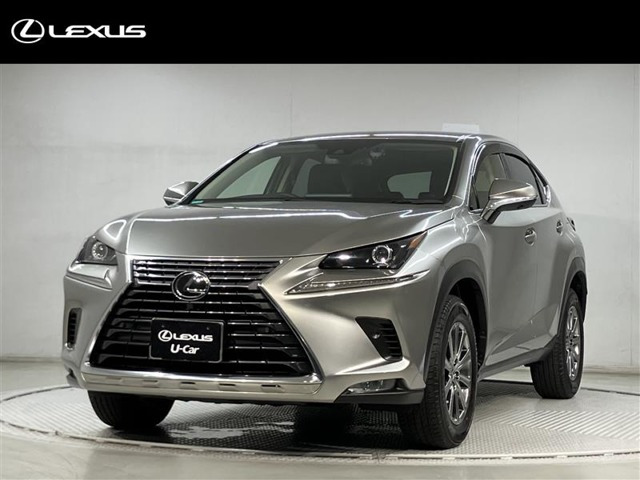 NX 300 4WD 