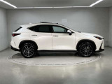 NX 250 バージョンL NX 250 バージョンL