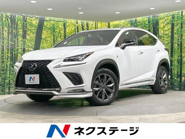 NX 300h Fスポーツ 