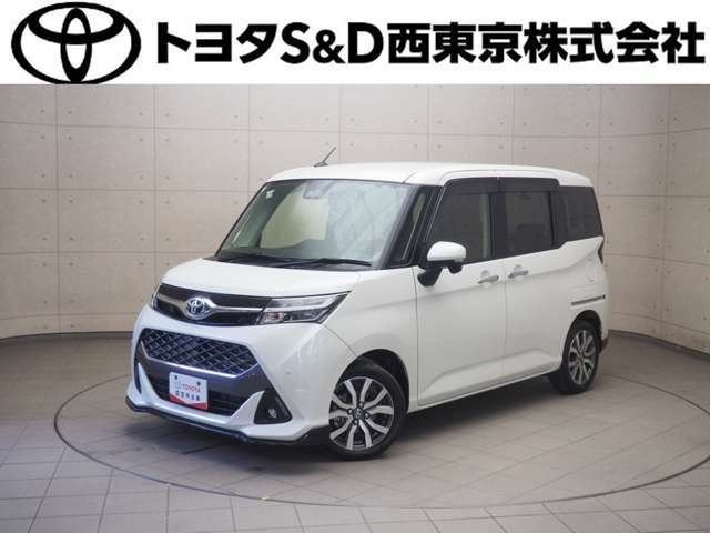 タンク 1.0 カスタム G-T 