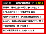 エルグランド 2.5 250ハイウェイスター アーバンクロム 車高調 禁煙