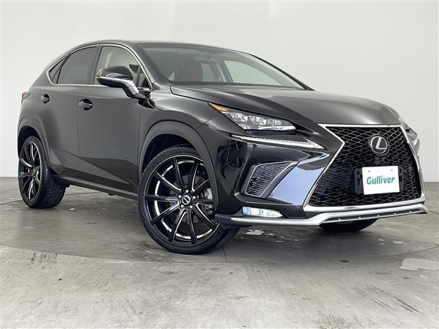 NX 200t Iパッケージ 本革シート サンルーフ
