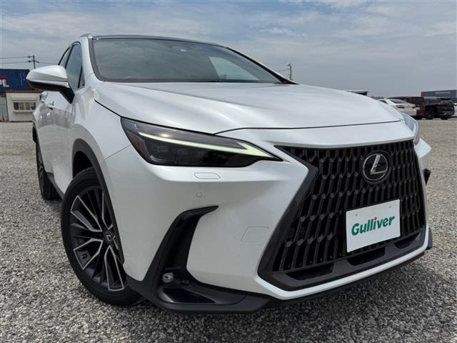 NX 250 バージョンL 本革シート サンルーフ